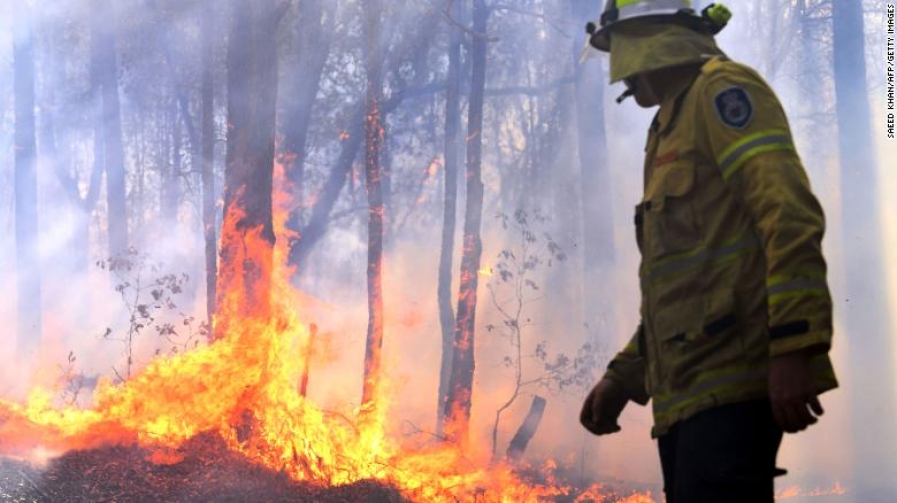 Imbauan terkait Kebakaran Hutan di New South Wales dan Queensland, Australia